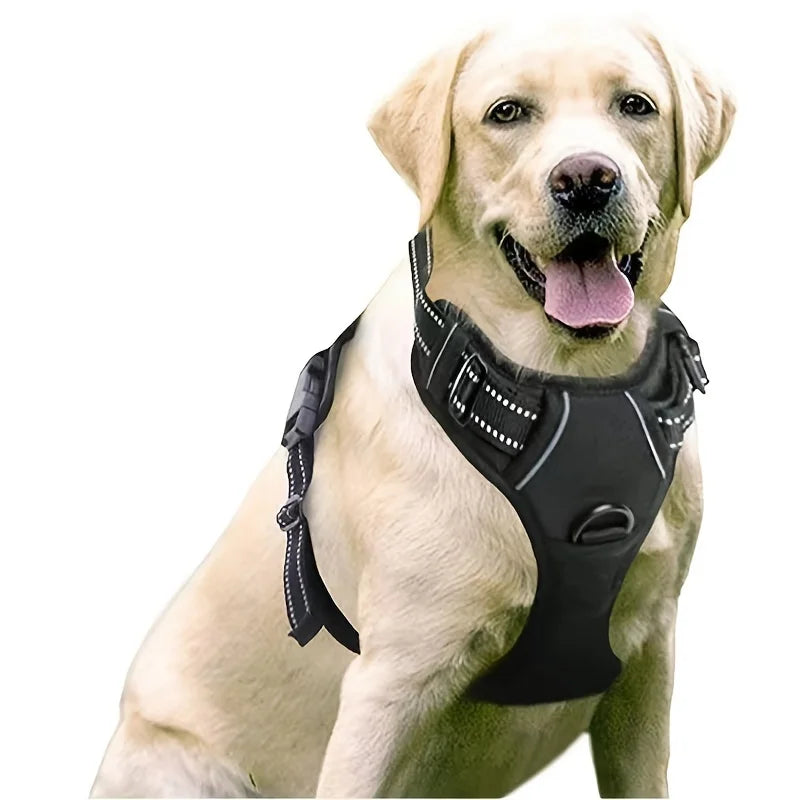 No-pull pet harness with 2 leash clips