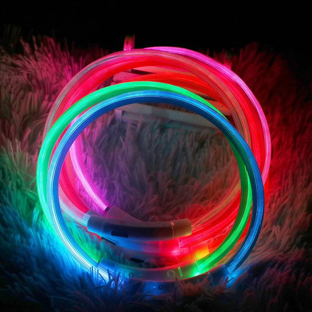 Led Dog Collar Luminous with Usb charge