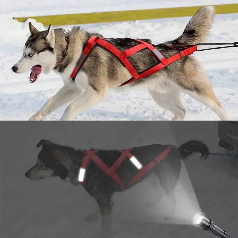 Adjustable Reflective X-Shaped Dog Harness