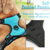 No-pull pet harness with 2 leash clips