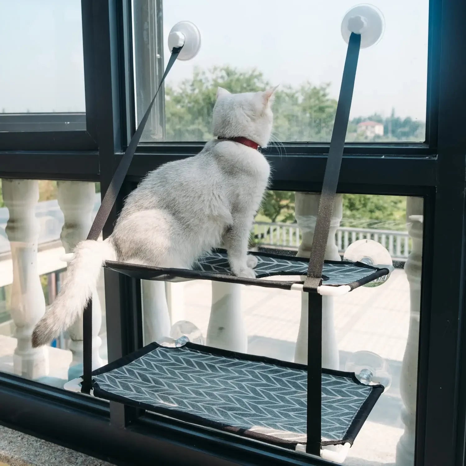 Cat Window Hammock, Up To 20KG