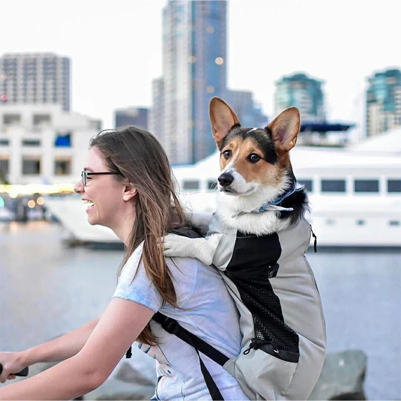 High quality breathable cycling backpack for outdoor travel with your pet